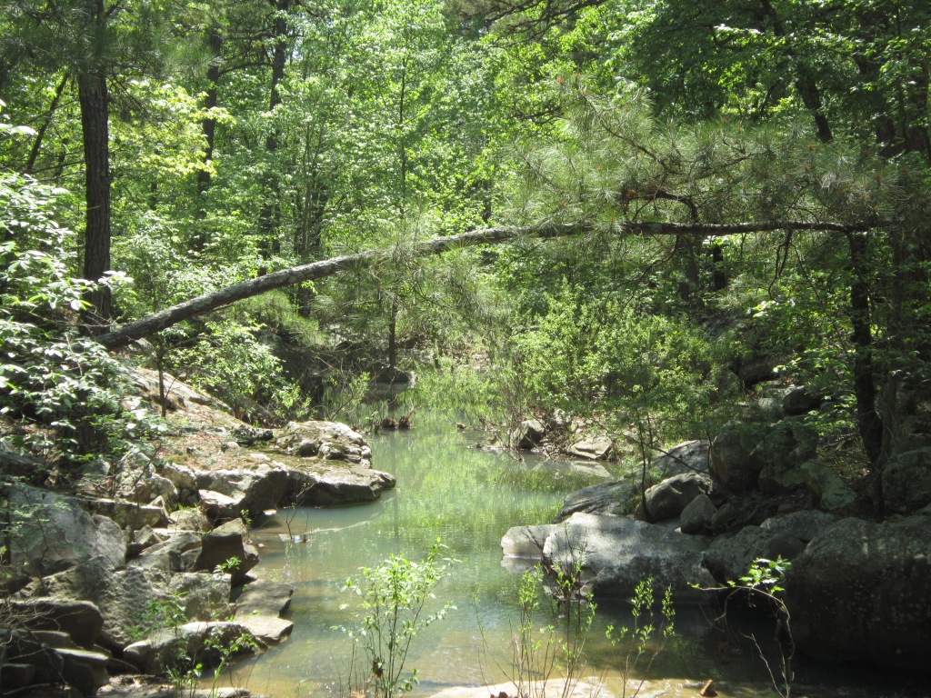 Lush greenery around a creek at Robber's Cave State Park, Oklahoma