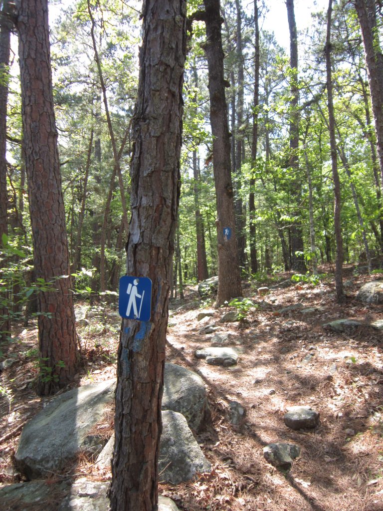 Bright blue signs with a symbol of a man hiking. These are fastened on trees to show the trail.
